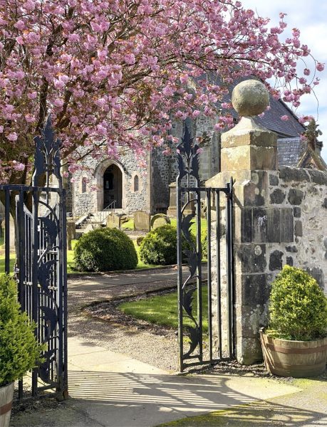 Cherry blossom at the church gate, St Colmon, Colmonell